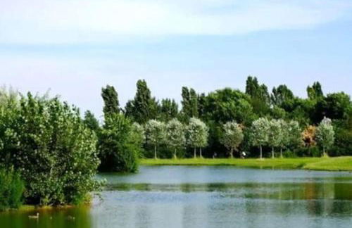 Bicocca, Free PARKING, Private Garage, Metro M5 200m, Garden, Kids & Pet Friendly - Foto 11