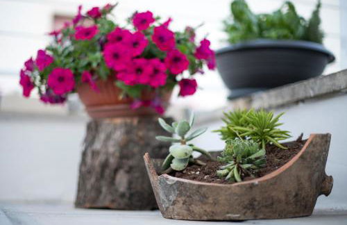 Palestro 5 - Foto 21