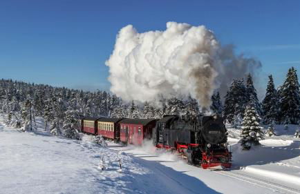 Ferienhaus Thale - Foto 51