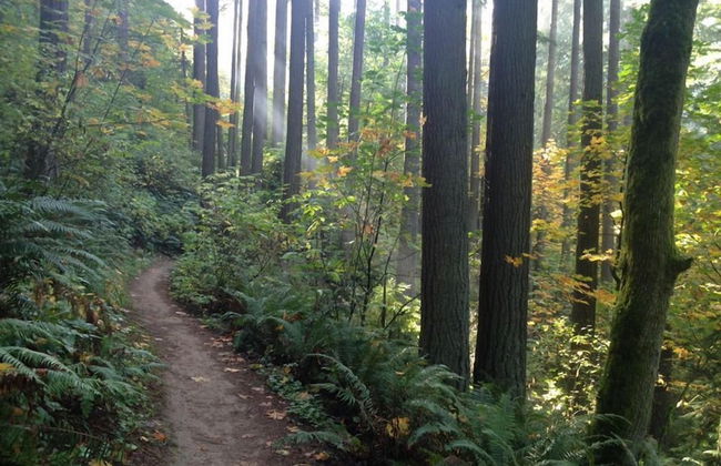 Inn at Northrup Station - Foto 37