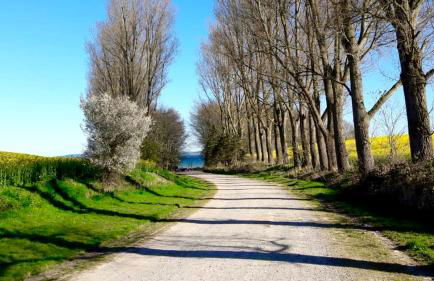 StrandGlück - Foto 26