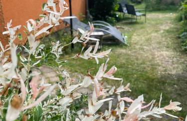 Ferienhaus mit Terrasse - Insel Usedom - Foto 59