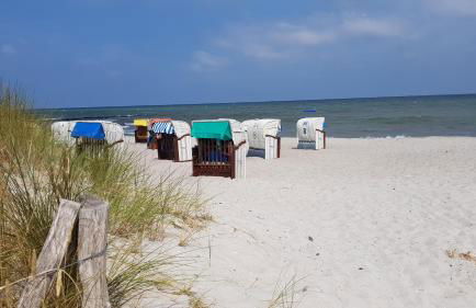 Seeadler-F5 - Foto 23