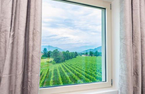 Casa Vacanza Dany in Franciacorta Vista Vigneti - Foto 1