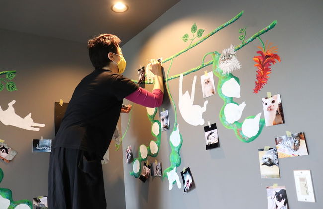 Frank’s CHATAN - Foto 9