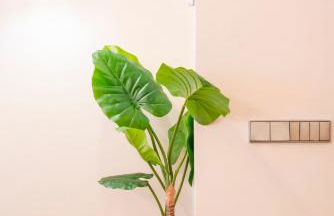 V73 Elegance & Comfort - Luxury in Barrio Salamanca - Foto 77