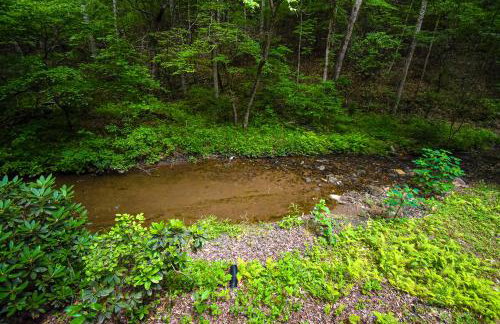 Creekside Getaway - Foto 27