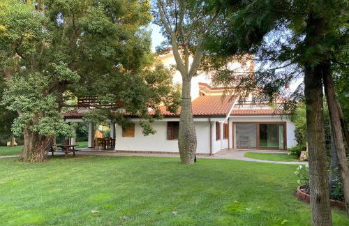 Seguire Le Botti - Agriturismo Cantina Sant'Andrea - Foto 3