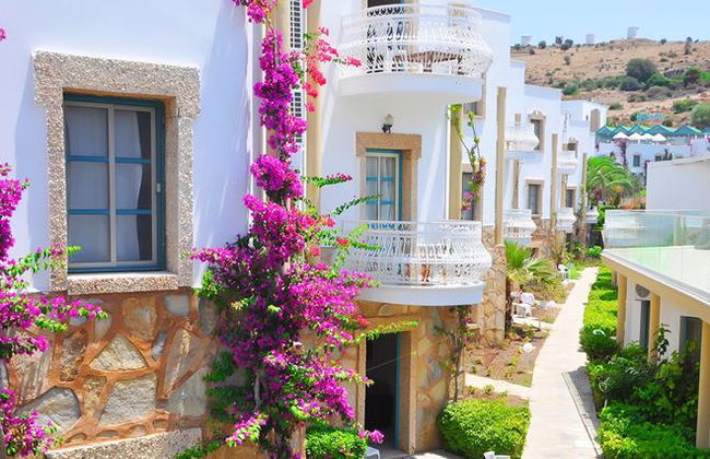 Siesta Beach Apartments - Foto 14