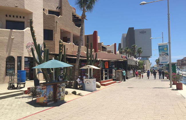 Studio Suite at Marina Cabo Plaza - Foto 27