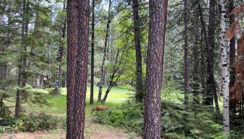 Golf Course Home 148 - Foto 2