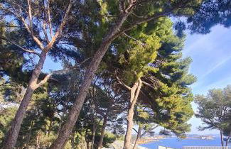 SUPERBE APPARTEMENT VUE MER - PLAGE, PISCINE et TENNIS PRIVE - Foto 29