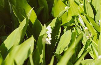 Agroturystyka u Miłosza - Foto 23