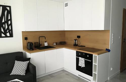 Apartament Wrocław Centrum Dorzecze Legnickiej - Photo 25