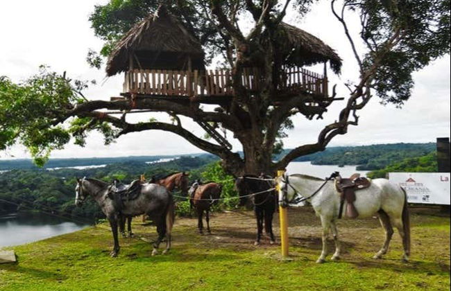 Tour en kayak por el lago Gatún + Paseo a caballo - Foto 6