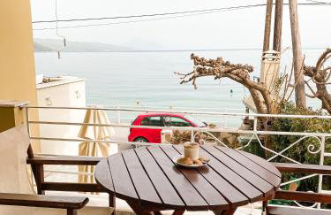 Evilion studios - Photo 43