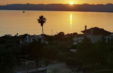 ELGEORGE HOME - Photo 38