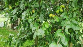 The Cow Hide @ Mill Burn Hollow. - Foto 3