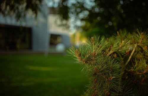 SKARPA resort - Foto 51