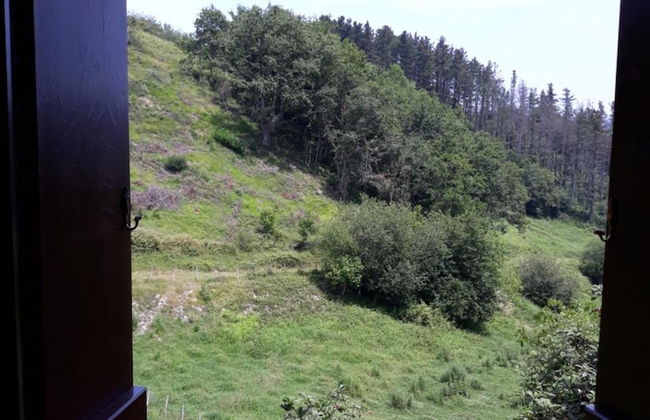 Txindurri Iturri - Foto 28