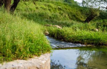 Riverside house with pool jacuzzi and sauna in Croatia - Foto 23