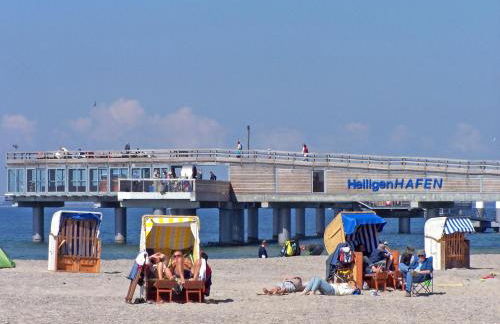 Meeresstern - Photo 48