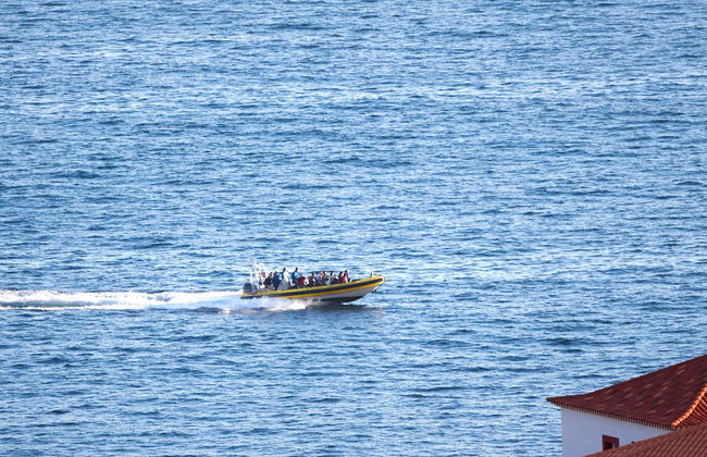 Watertaxi a Quinta do Lorde desde Cais do Sardinha - Foto 1