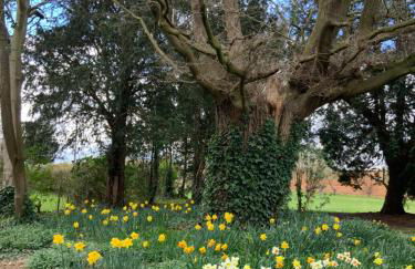 The Mulberry Apartment at Langford Hall - Photo 13