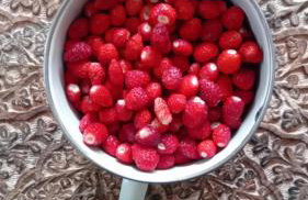 Domek nad jeziorem Strykowskim - Foto 39