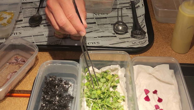 Oficina de pintxos em Bilbao