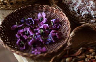 Boutique Hotel Poggio ai Santi - Adults Only - Foto 31