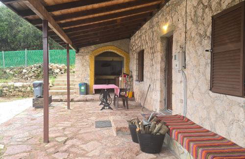 Κτήμα Βασίληγιάννη - Foto 77