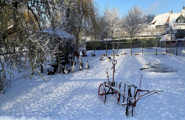 Cozy Holiday Home in Bergen op Zoom With Garden - Foto 76