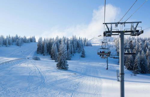 Au-Doux-Altic chalet romantique avec JACUZZI ET SAUNA - Foto 31