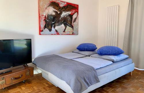 Casa Marcu Wohnung 2 EG - Foto 9