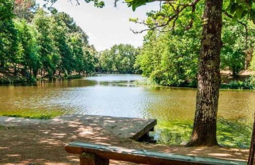 La cabaña - Photo 24