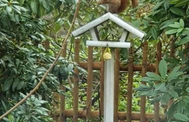 Traumhaftes Reetdachhaus "Grote Eken" in der Lüneburger Heide - Foto 38