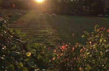 Süße Souterrain-Wohnung mit Anbindung nach Münster - Foto 10