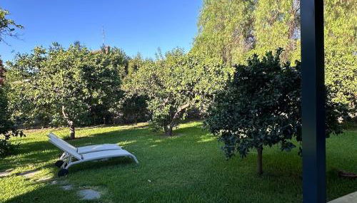 The Pavillion oasi a Cannizzaro - Foto 4, Garden