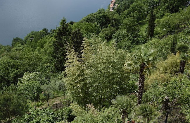 Villa Castello - Foto 26