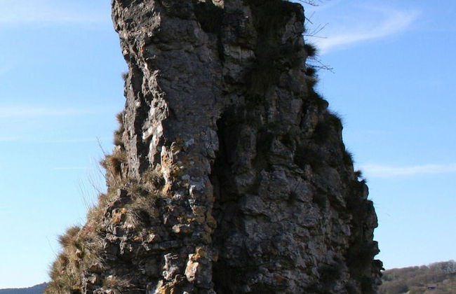 Tidy Holiday Home With Dishwasher, in a Green Area - Foto 33