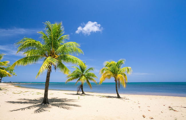 Lawson Rock - Parrotfish 106 - Foto 27