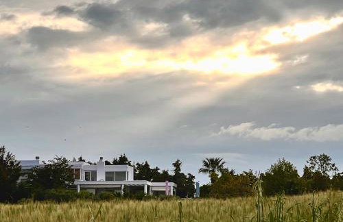 Modern House Ancient Pydna - Foto 23