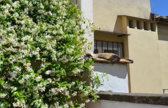 Luxury Apartment Pantheon - Foto 43