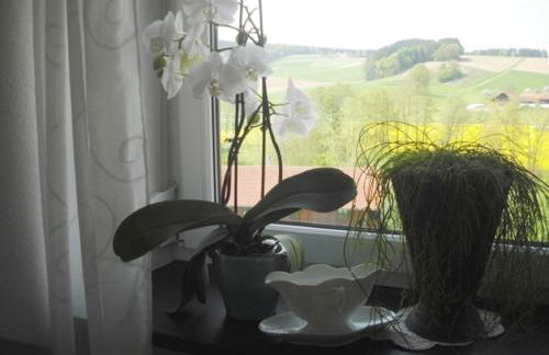 Ferienhof Bimesmeier - Foto 22