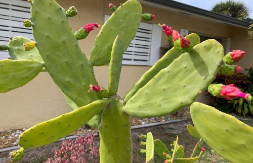 Quaint Coastal Pool Home on Florida's Space Coast - Foto 66