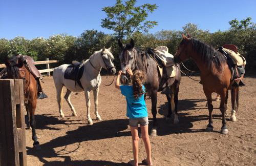 Hotel Rural Finca La Herencia - Foto 46