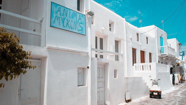 Mykonos Highlights - Half-Day Private Tour - Photo 3