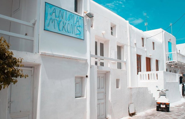 Lo más destacado de Mykonos - Tour privado de medio día - Foto 3