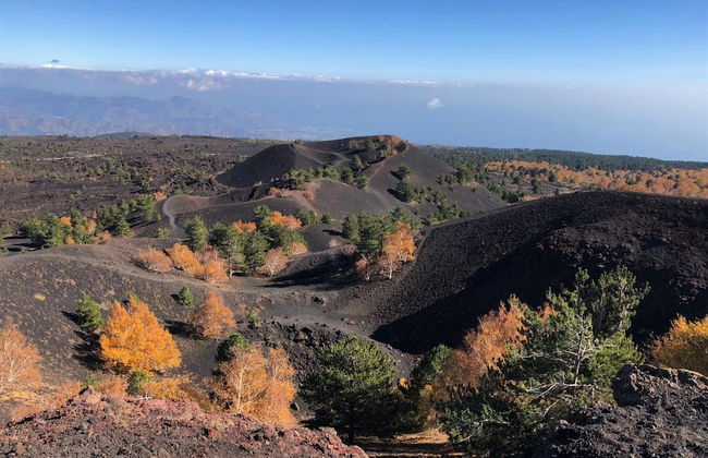 Design Apartment With Terrace by Wonderful Italy - Foto 29